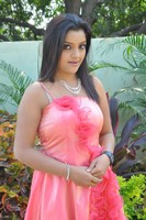Padmini Gallery